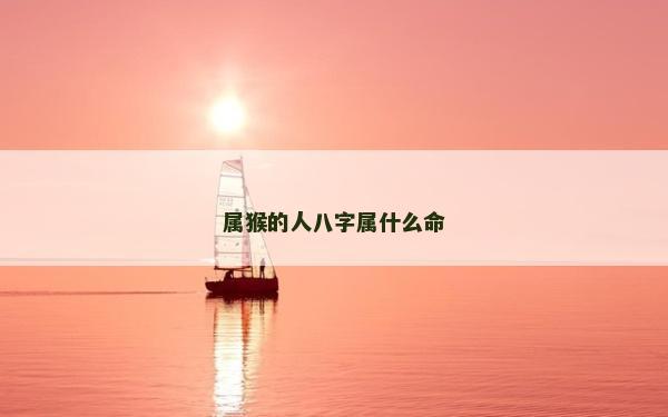 属猴的人八字属什么命