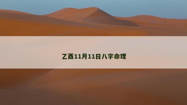 乙酉11月11日八字命理