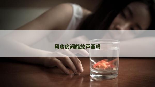 风水房间能放芦荟吗