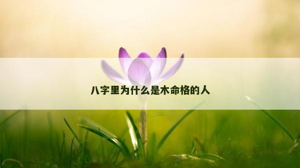 八字里为什么是木命格的人