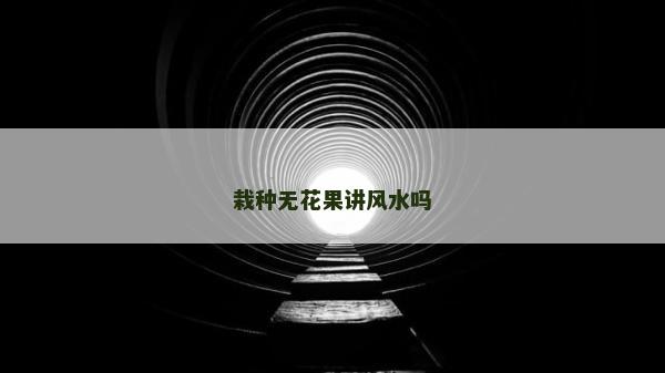 栽种无花果讲风水吗
