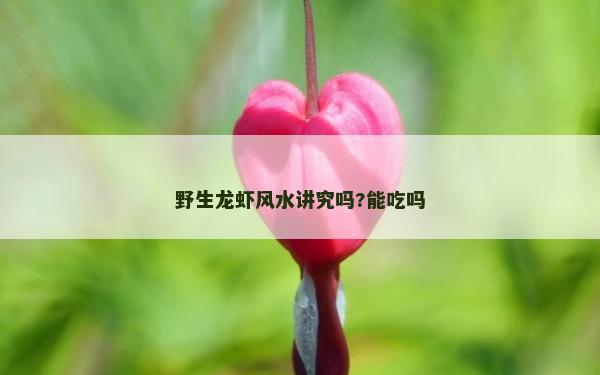 野生龙虾风水讲究吗?能吃吗