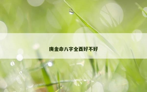 庚金命八字全酉好不好
