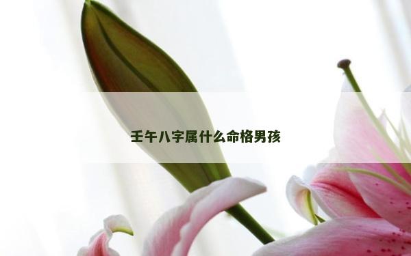 壬午八字属什么命格男孩