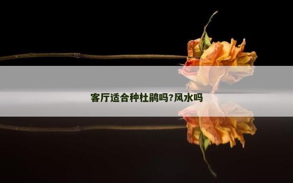 客厅适合种杜鹃吗?风水吗