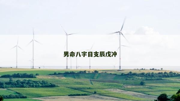 男命八字日支辰戊冲