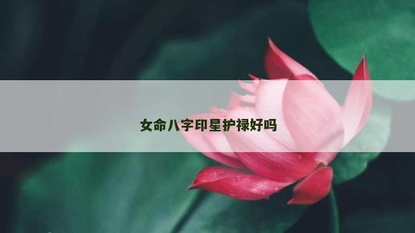 女命八字印星护禄好吗