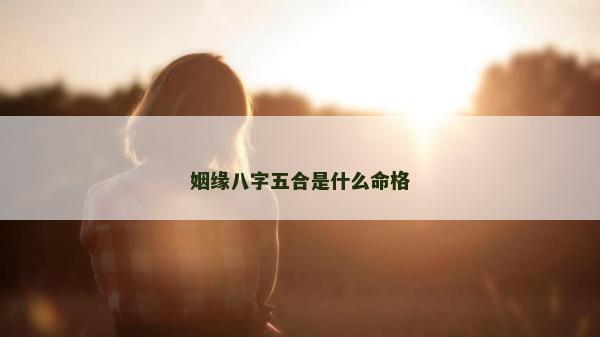 姻缘八字五合是什么命格