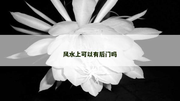 风水上可以有后门吗