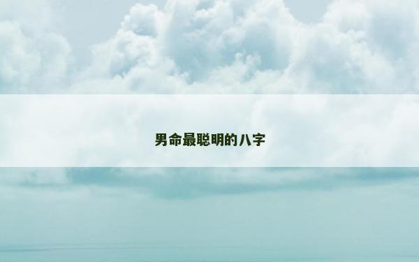 男命最聪明的八字