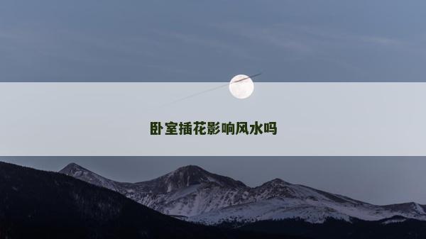 卧室插花影响风水吗