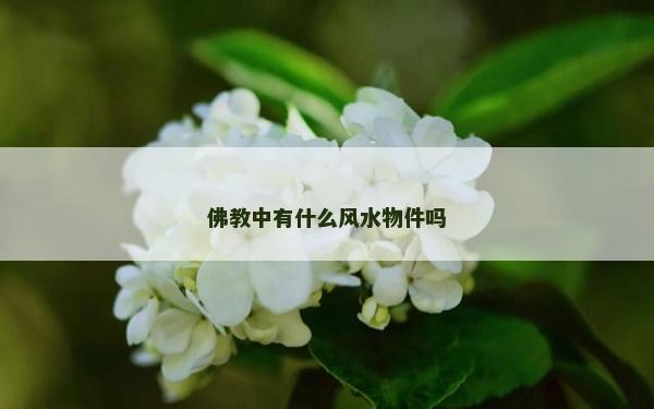 佛教中有什么风水物件吗