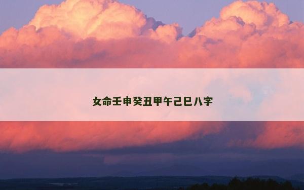 女命壬申癸丑甲午己巳八字