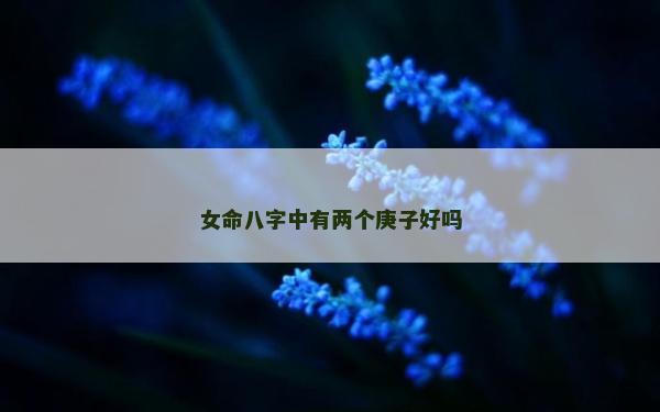 女命八字中有两个庚子好吗
