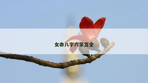 女命八字六亲宫全