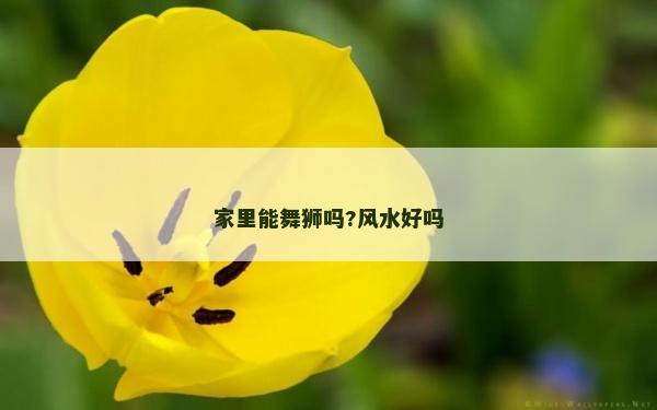 家里能舞狮吗?风水好吗