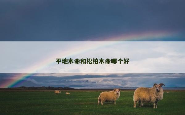 平地木命和松柏木命哪个好