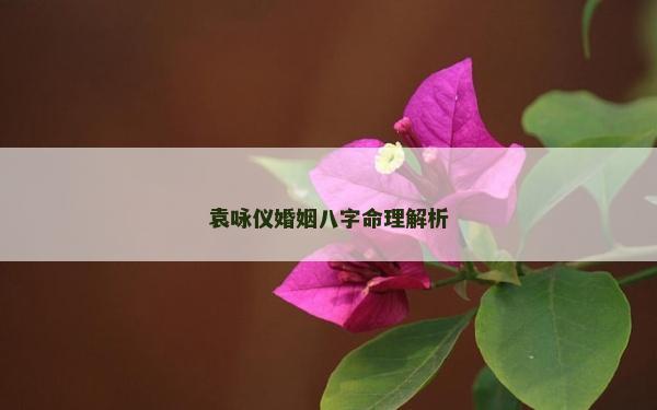 袁咏仪婚姻八字命理解析