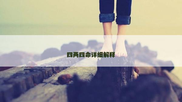 四两四命详细解释