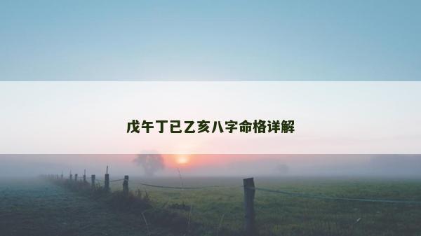 戊午丁已乙亥八字命格详解