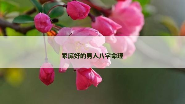 家底好的男人八字命理