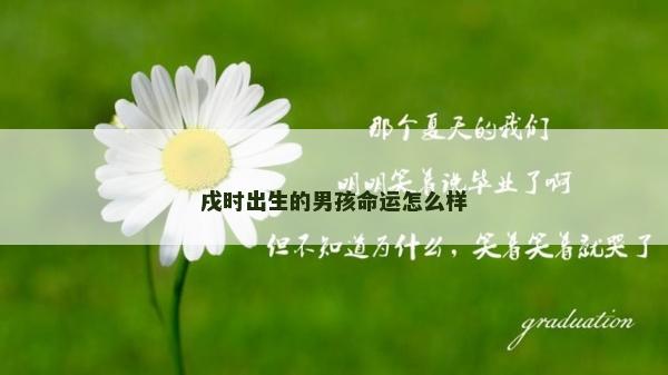 戌时出生的男孩命运怎么样