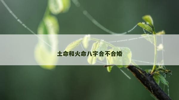 土命和火命八字合不合婚