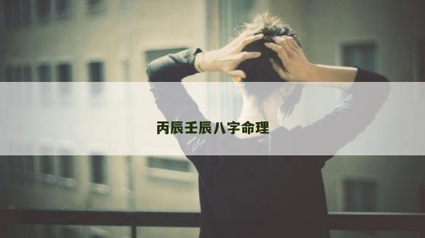 丙辰壬辰八字命理