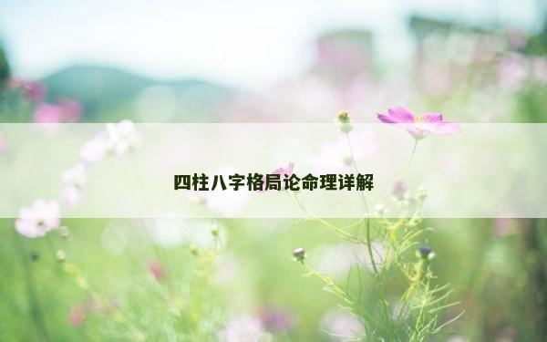 四柱八字格局论命理详解
