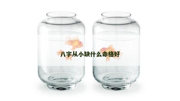 八字从小缺什么命格好