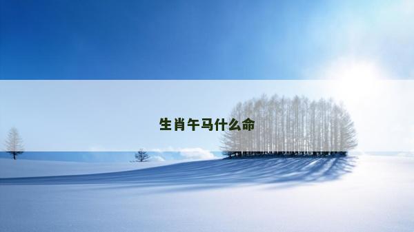 生肖午马什么命