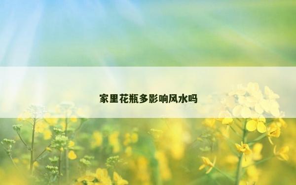 家里花瓶多影响风水吗