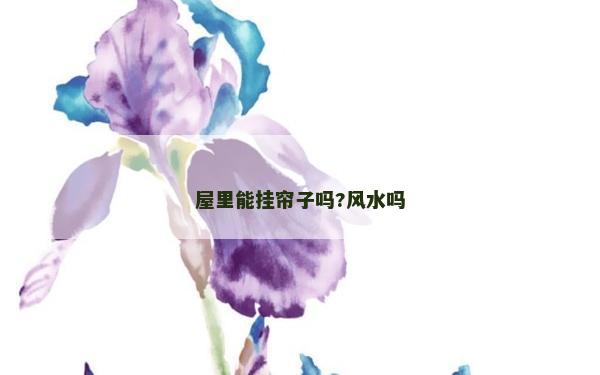 屋里能挂帘子吗?风水吗
