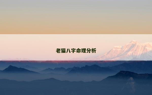 老猫八字命理分析