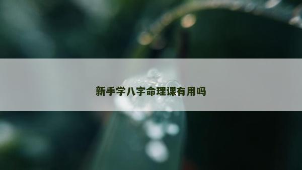 新手学八字命理课有用吗