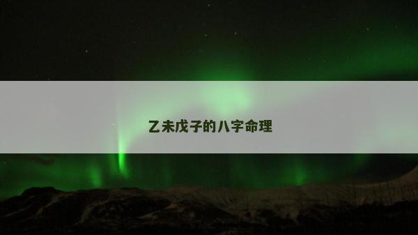 乙未戊子的八字命理