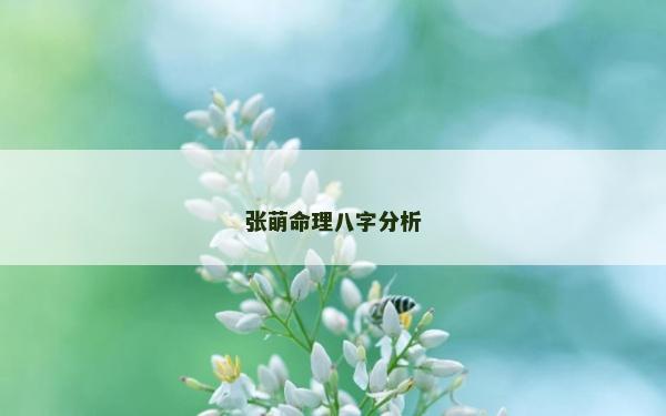 张萌命理八字分析