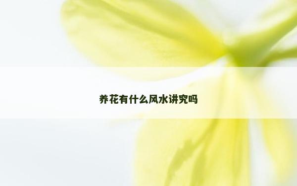 养花有什么风水讲究吗