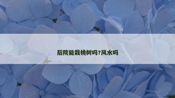 后院能栽桃树吗?风水吗