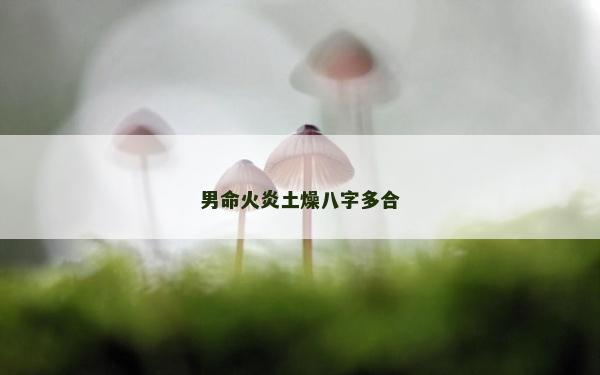 男命火炎土燥八字多合