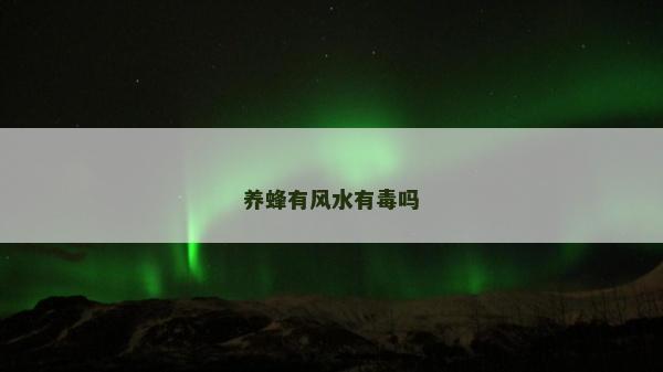 养蜂有风水有毒吗