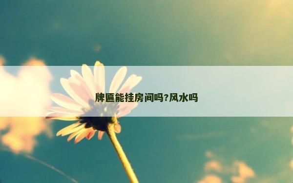 牌匾能挂房间吗?风水吗