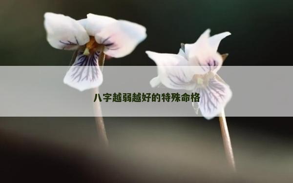 八字越弱越好的特殊命格