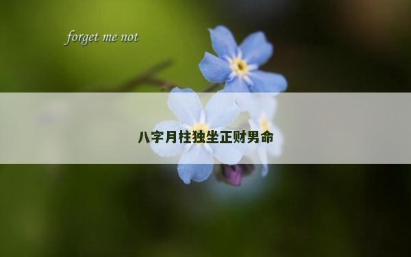 八字月柱独坐正财男命