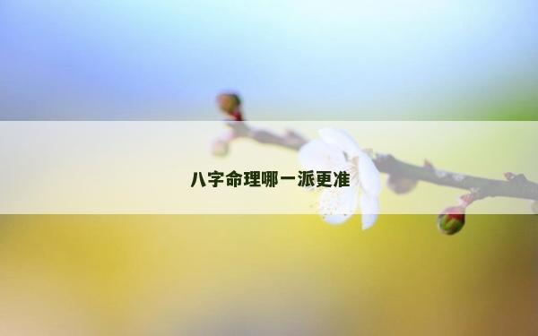 八字命理哪一派更准