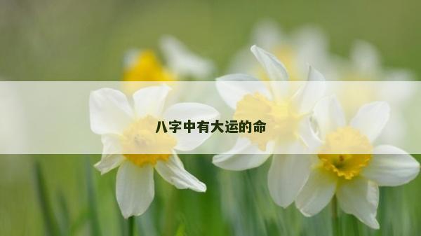 八字中有大运的命