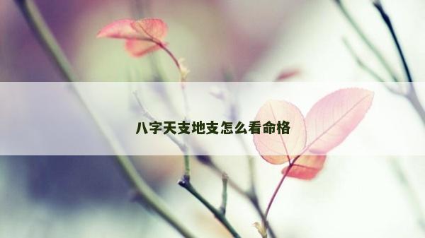 八字天支地支怎么看命格