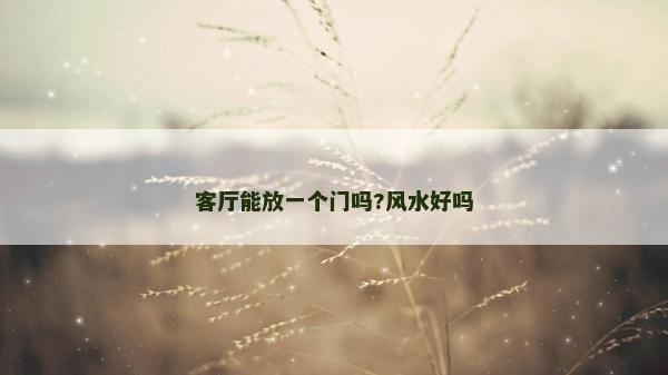 客厅能放一个门吗?风水好吗