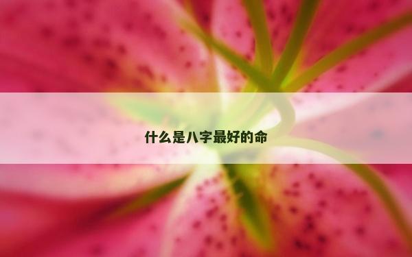 什么是八字最好的命