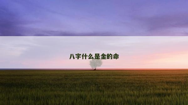 八字什么是金的命